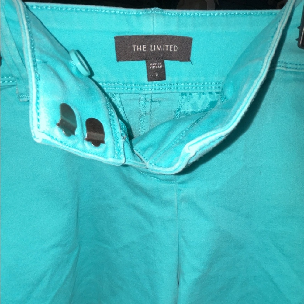 The Limited Aqua shorts